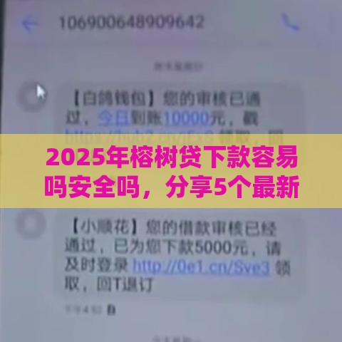 2025年榕树贷下款容易吗安全吗，分享5个最新成都贷款平台