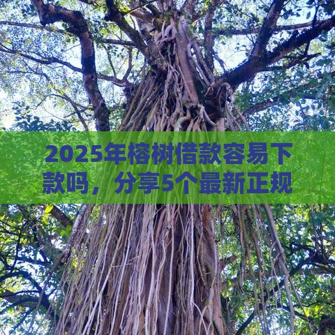 2025年榕树借款容易下款吗，分享5个最新正规的大额贷款平台