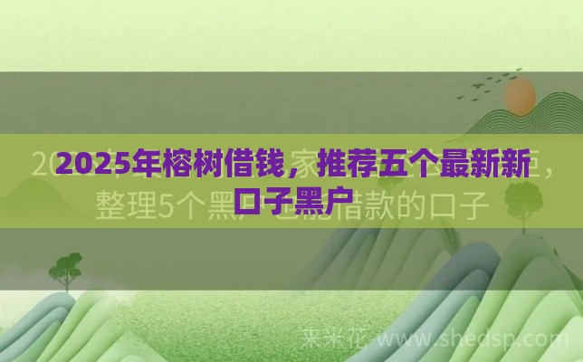 2025年榕树借钱，推荐五个最新新口子黑户