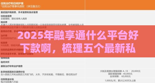 2025年融享通什么平台好下款啊，梳理五个最新私人借钱平台