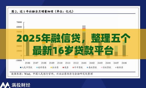2025年融信贷，整理五个最新16岁贷款平台