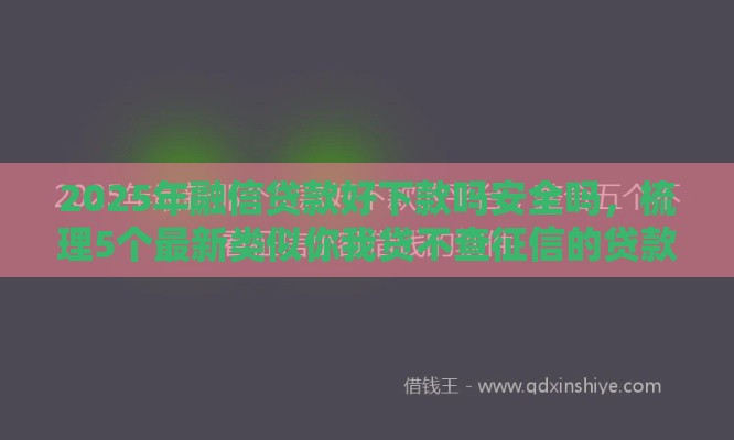 2025年融信贷款好下款吗安全吗，梳理5个最新类似你我贷不查征信的贷款平台