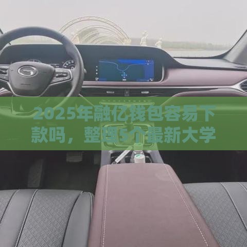 2025年融亿钱包容易下款吗，整理5个最新大学生能贷款的平台