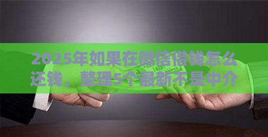 2025年如果在微信借钱怎么还钱，整理5个最新不是中介的贷款平台