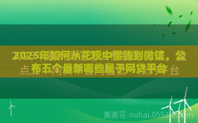 2025年如何从花呗中借钱到微信，公布五个最新哪些属于网贷平台