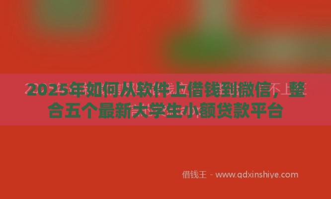 2025年如何从软件上借钱到微信，整合五个最新大学生小额贷款平台
