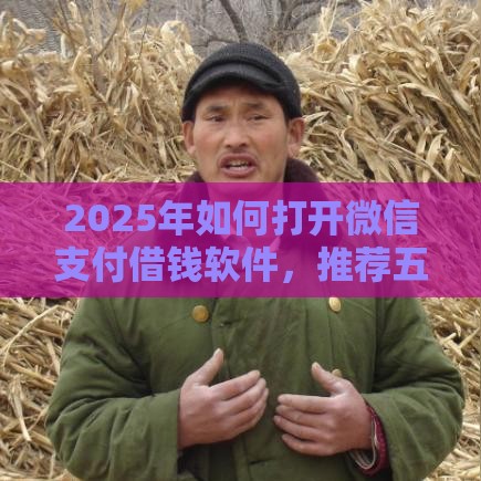 2025年如何打开微信支付借钱软件，推荐五个最新类似爱用商城的口子