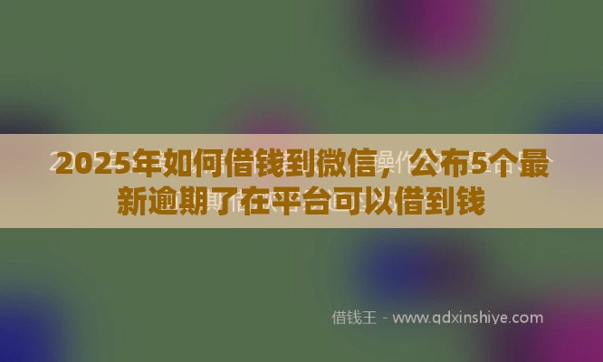 2025年如何借钱到微信，公布5个最新逾期了在平台可以借到钱