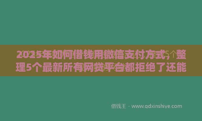 2025年如何借钱用微信支付方式，整理5个最新所有网贷平台都拒绝了还能借到一万的软件
