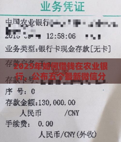 2025年如何借钱在农业银行，公布五个最新微信分期贷款平台