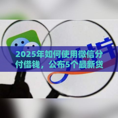 2025年如何使用微信分付借钱，公布5个最新贷款加盟平台