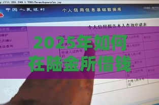 2025年如何在陆金所借钱，分享五个最新2025不查征信大数据百分百下款的平台
