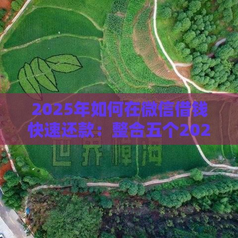 2025年如何在微信借钱快速还款：整合五个2025热门小额网贷平台