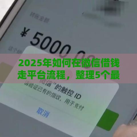 2025年如何在微信借钱走平台流程，整理5个最新借钱平台好通过