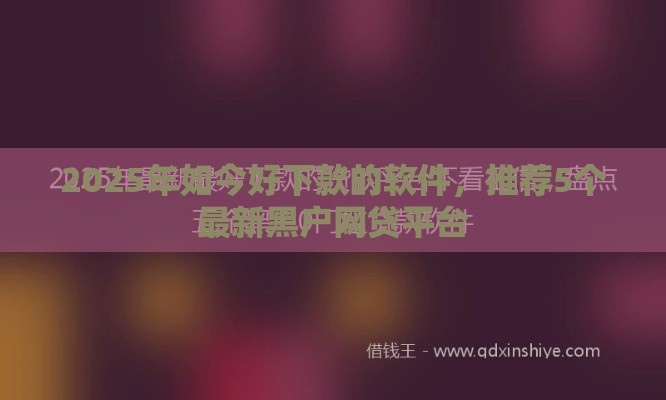 2025年如今好下款的软件，推荐5个最新黑户网贷平台