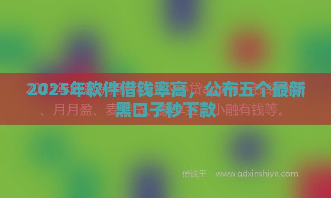 2025年软件借钱率高，公布五个最新黑口子秒下款