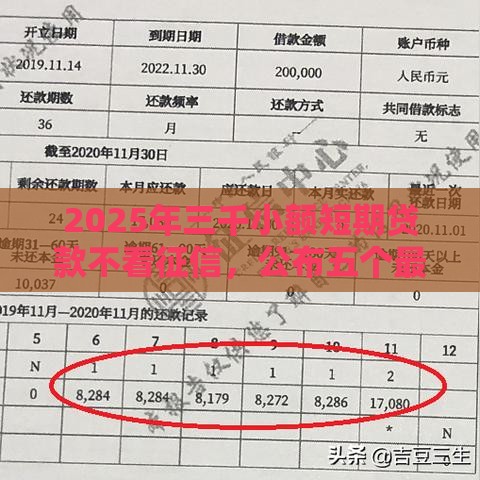 2025年三千小额短期贷款不看征信，公布五个最新黑户借1000借款平台能放款