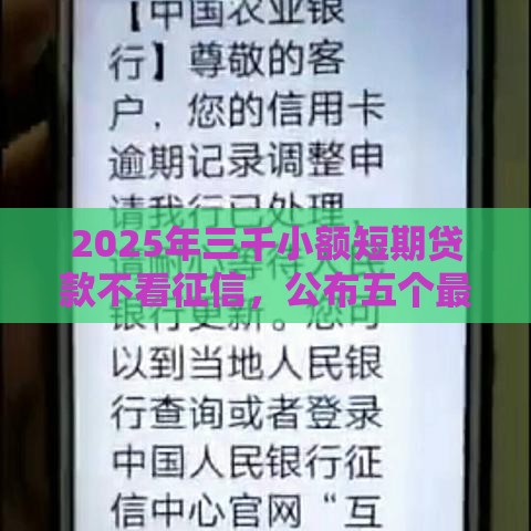 2025年三千小额短期贷款不看征信，公布五个最新黑户借1000借款平台能放款