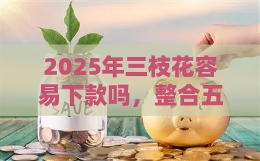 2025年三枝花容易下款吗，整合五个最新那些贷款平台可靠
