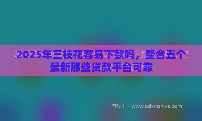 2025年三枝花容易下款吗，整合五个最新那些贷款平台可靠