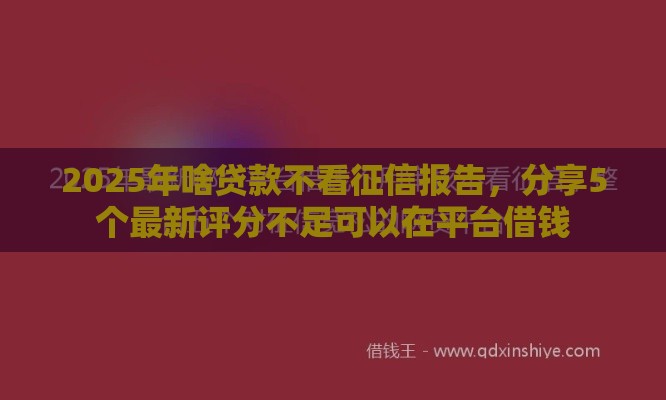 2025年啥贷款不看征信报告，分享5个最新评分不足可以在平台借钱