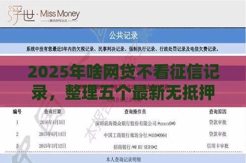2025年啥网贷不看征信记录,整理五个最新无抵押贷款平台 2025年啥网贷不看征信记录,整理五个最新无抵押贷款平台