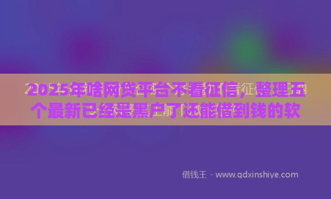 2025年啥网贷平台不看征信，整理五个最新已经是黑户了还能借到钱的软件