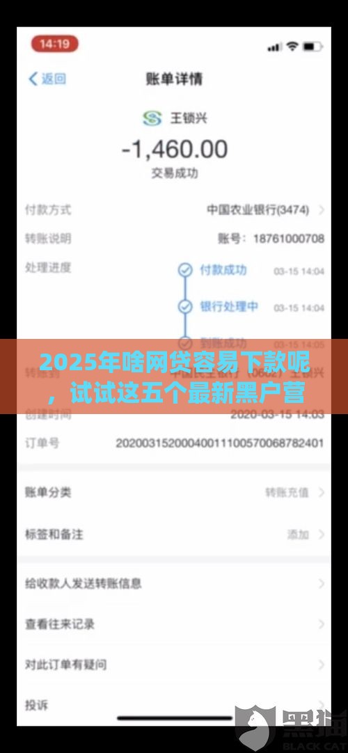 2025年啥网贷容易下款呢，试试这五个最新黑户营业执照贷款app口子