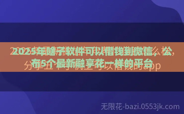 2025年啥子软件可以借钱到微信，公布5个最新融享花一样的平台