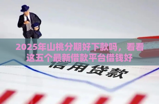 2025年山桃分期好下款吗，看看这五个最新借款平台借钱好