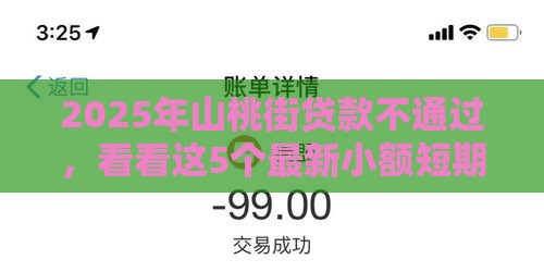 2025年山桃街贷款不通过，看看这5个最新小额短期用钱平台好