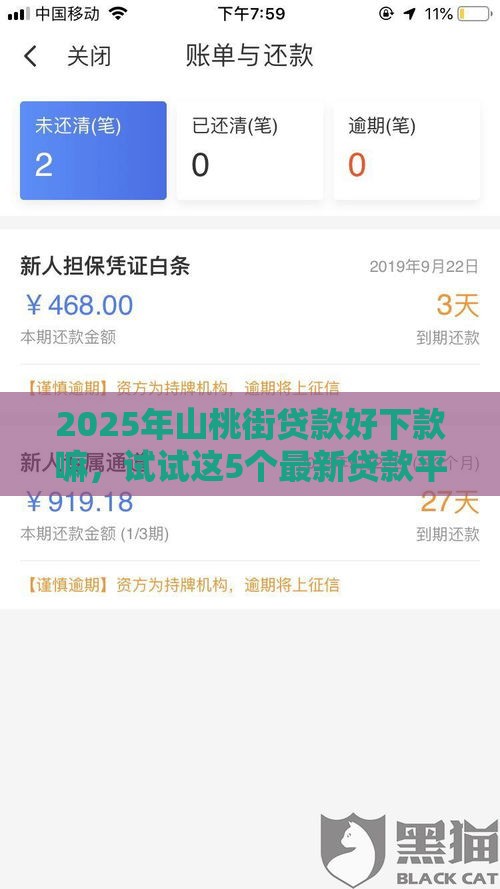 2025年山桃街贷款好下款嘛，试试这5个最新贷款平台好下款不看征信