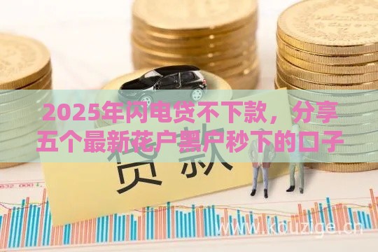 2025年闪电贷不下款，分享五个最新花户黑户秒下的口子