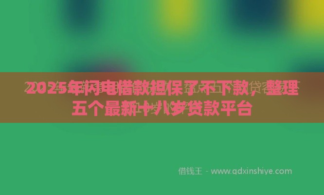 2025年闪电借款担保了不下款，整理五个最新十八岁贷款平台