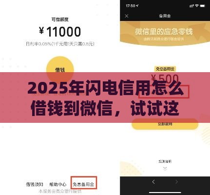 2025年闪电信用怎么借钱到微信，试试这5个最新现在平台可以借钱