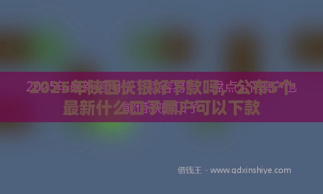 2025年陕西长银好下款吗，公布5个最新什么口子黑户可以下款