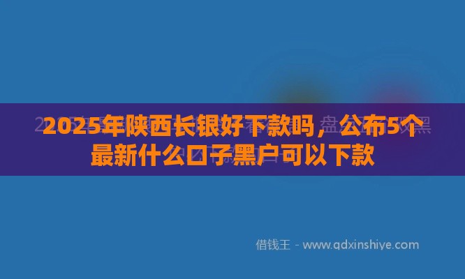 2025年陕西长银好下款吗，公布5个最新什么口子黑户可以下款