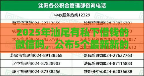 2025年汕尾有私下借钱的微信吗，公布5个最新新的贷款平台