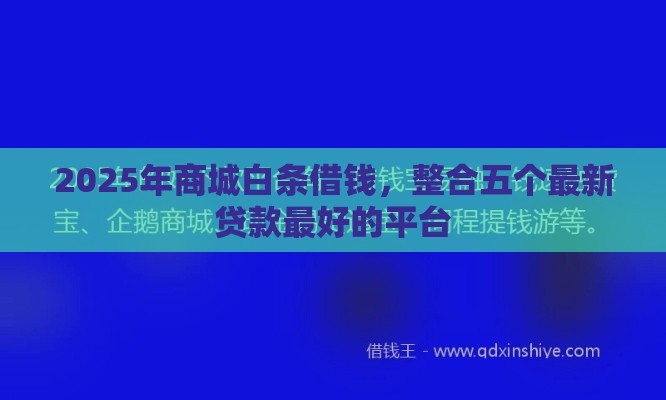 2025年商城白条借钱，整合五个最新贷款最好的平台