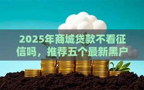 2025年商城贷款不看征信吗，推荐五个最新黑户烂户能过的购物平台