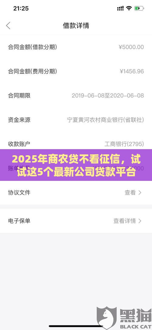 2025年商农贷不看征信，试试这5个最新公司贷款平台