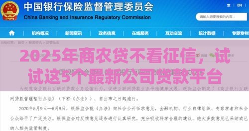 2025年商农贷不看征信，试试这5个最新公司贷款平台