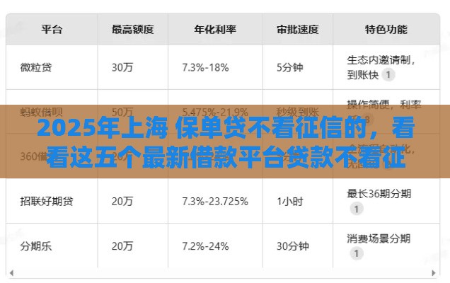 2025年上海 保单贷不看征信的，看看这五个最新借款平台贷款不看征信