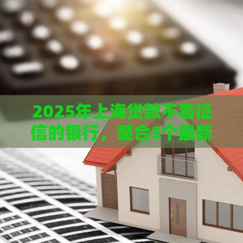 2025年上海贷款不看征信的银行，整合5个最新48期贷款平台