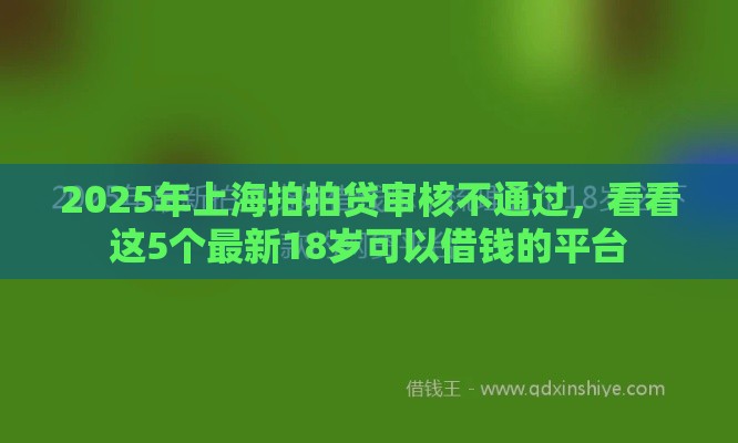 2025年上海拍拍贷审核不通过，看看这5个最新18岁可以借钱的平台