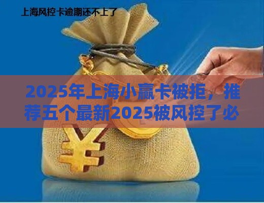 2025年上海小赢卡被拒，推荐五个最新2025被风控了必下的口子