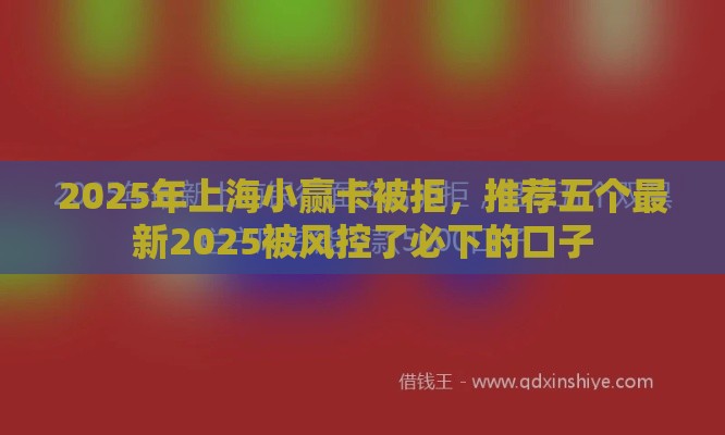 2025年上海小赢卡被拒，推荐五个最新2025被风控了必下的口子
