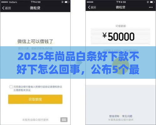 2025年尚品白条好下款不好下怎么回事，公布5个最新真正黑户能下款的网贷平台