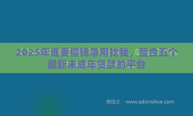 2025年谁要借钱急用找我，整合五个最新未成年贷款的平台