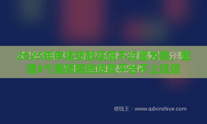 2025年申请贷款征信不过是为啥，整理5个最新哪些贷款平台不上征信